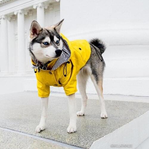 Dog Raincoats Waterproof Dogs Rain Coat Jacket Fashion Outdoor Breathable Puppy Clothes PU Raincoat