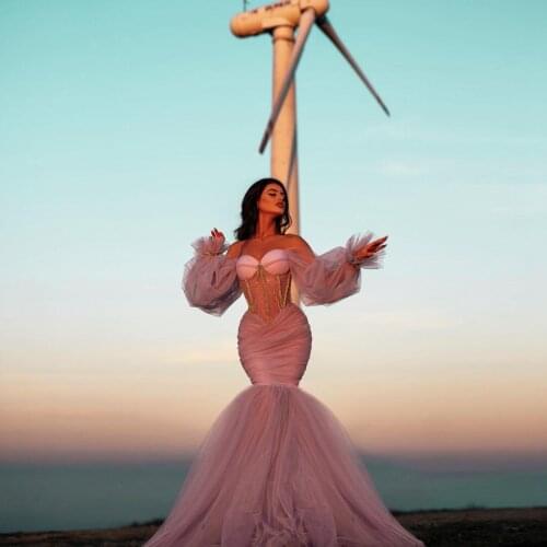 Charming Pink Tulle Mermaid Evening Gowns Puffy Long Sleeves Sweetheart See Thru Pleated Tulle Women Prom Dresses