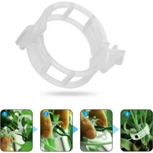 50/100pcs Plastic Plant Clips Gardening supplies Vine and vegetable fixing Reusable Grafting fixing tool for garden greenhouse