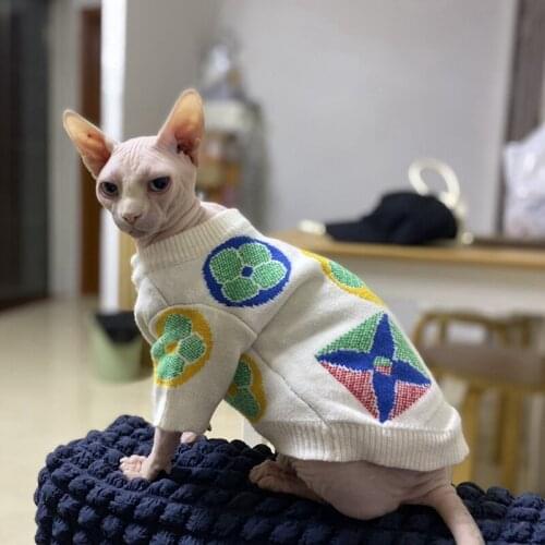 Sphinx cat clothes