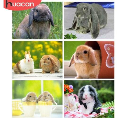 HUACAN Full Square Drill Diamond Painting Rabbit 5D DIY Diamond Embroidery Cross Stitch Animal Mosaic Needlework Wall Art