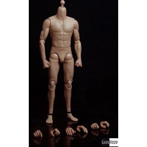1/6 Scale DX04 Asian Male Body Figure for Muscular Model Similar to HT With Extra Hands