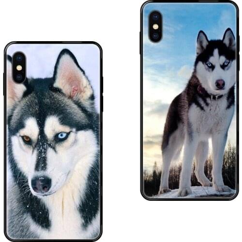 Freshly For Galaxy A5 A6 A7 A8 A10 A10S A20 A20S A20E A21S A30 A30S A40 A50 A70 A71 A70E Sexy Siberian Husky Lovely Dog Pattern