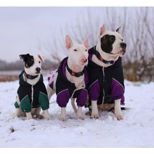 Hoopet Dog Sport Clothes Pet Coat Cat Autumn Winter Clothes Cat Warm Costume Small Dogs Outfit