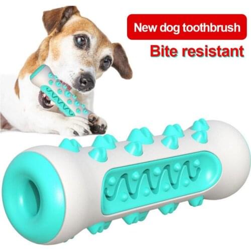 Dog Teeth Grinding Stick Gnawing Teeth Clean Bone Dog Tooth Brush Chewing Gum Pet Toy Dog Bite Resistant Molar Training Grinding