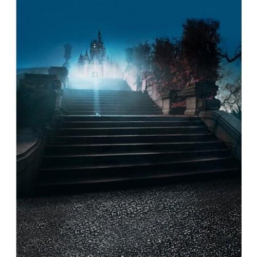 Castle stairs backgrounds young lady photography vinyl portrait story kid photo backdrop in photo studio kits photophone CM-6743