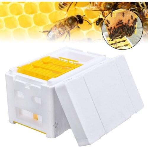 24cm Bee Hive Box Harvest Beehive Pollination Beekeeping Auto Honey Beehive Frame Box for Bee Mating Copulation Beekeeping Tool