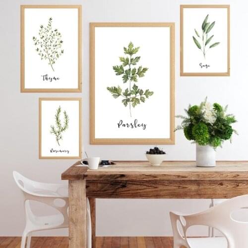 Oregano Sage Rosemary Basil Herbal Painting Print Plant Poster Kitchen Wall Art Living Room Interior Decoration Painting