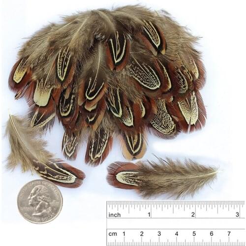 100pcs/lot Natural Pheasant Feathers for Crafts 5-10CM 2-4inch Feathers for Jewelry Making Wedding Feathers Decoration Plumas