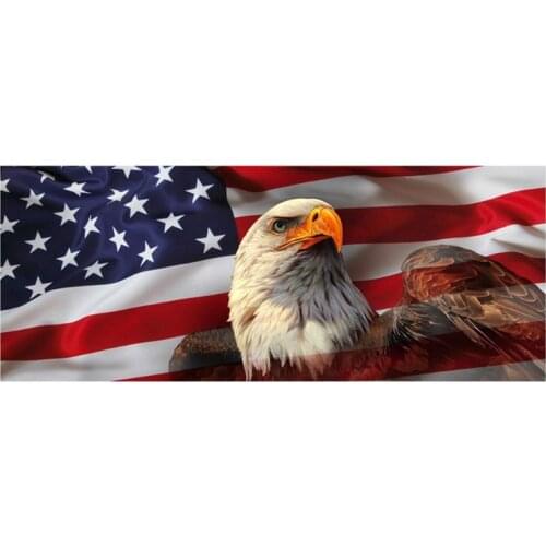 American USA Flag Eagle Flaming Skull For Pick-up SUV Back Window Graphic Decal Perforated Vinyl