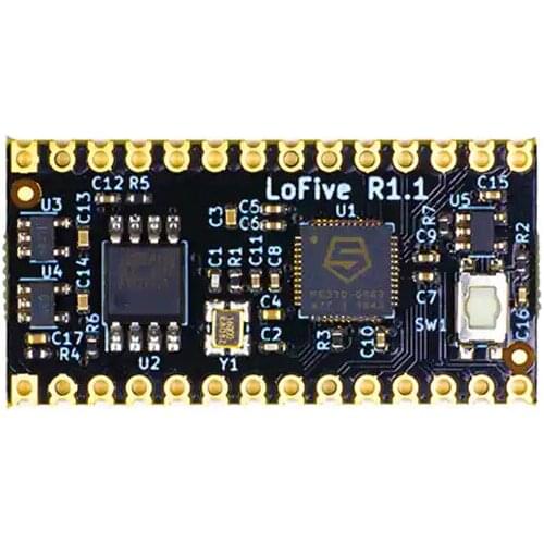 LOFIVE-R1 SIFIVE FE310-G002 RISC-V DEV