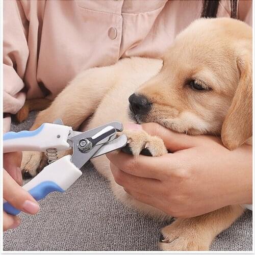 Pet Cat Dog Nail Clipper Cutter Stainless Steel Grooming Scissors Clippers Claw Nail Scissors with Lock Pet Supplies