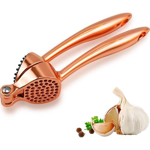 Premium Garlic Press, Sturdy Design Garlic Mincer, Easy-Squeeze Garlic Puree Maker Garlic Crusher for Nuts / Seeds / Ginger