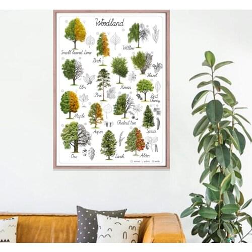 Tree Natural Educational Poster Canvas Prints Art Woodland Home Wall Decor Botanical Materials Preschool Kindergarten Painting