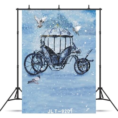 Snow Pumpkin Car Vinyl Photography Background for Portrait Child Baby New Born Shower Customized Backdrop Photocall Studio
