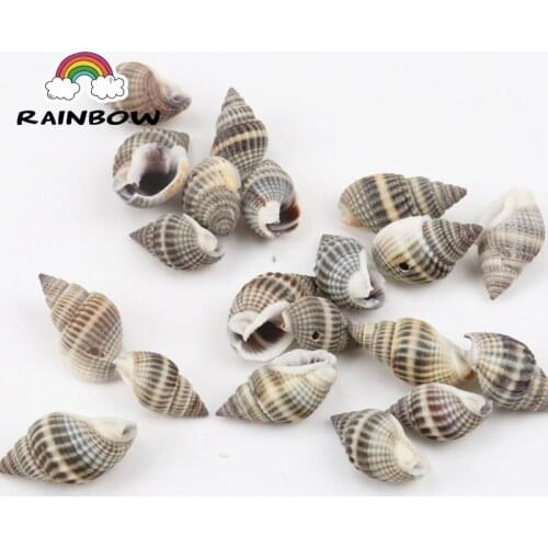 Natural Spiral Shell Loose Beads For Handmade Decoration Jewelry Making DIY Accessories 20-30mm 20pcs