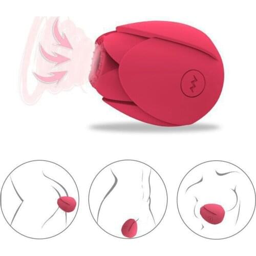 EXVOID Vaginal Stimulate Sucker Vibrator Nipple Massager Oral Licking Female Masturbator Sex Toys for Women Rose Vibrator