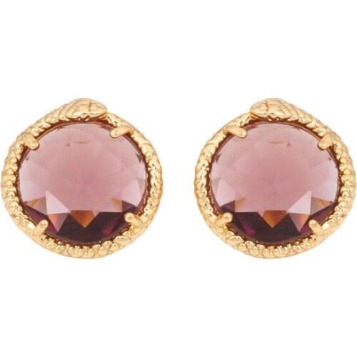 European and American Style Fashion Personality Simple and Versatile Trend Zircon 925 Silver Needle Earrings Ear Clip Jewelry