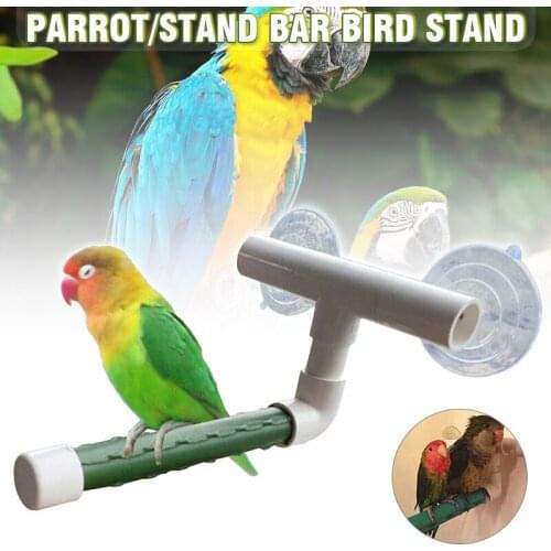 Pet Birds Shower Perches Toys Bird Bath Standing Parrot Grinding Stand Toys For Pet Supplies Bird Perches