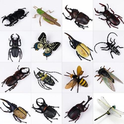17 Kinds Plastic Simulation Insect Butterfly/Dragonfly Simulation Small Animal Model Collection PVC Toy Kids Gift