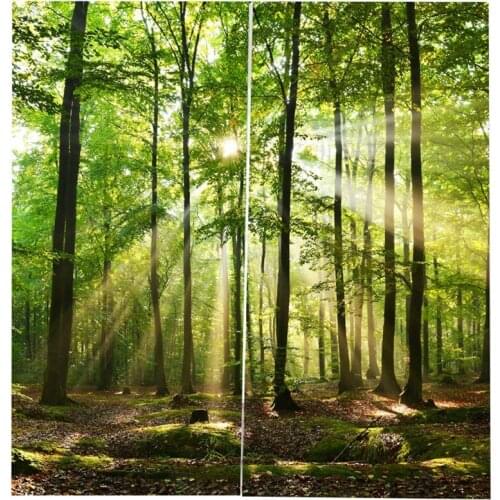 Bamboo Forest Printed Blackout Curtains For Bedroom Window Curtains For Living Room 85% Shading 3D Height 200Cm Width 170Cm