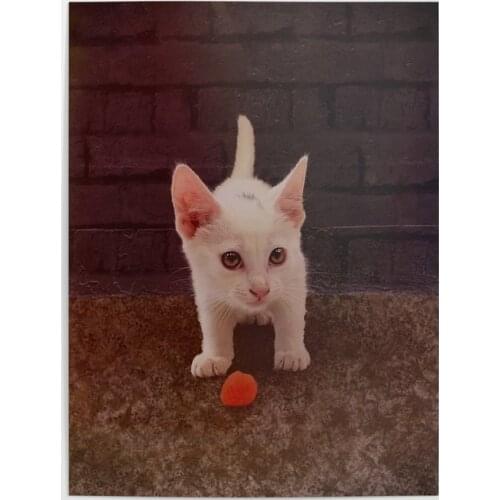 Modular Wall Art Canvas Paintings Cute Cat Animal Pictures Little White Cat Prints Poster Home Decor For Living Room Framework