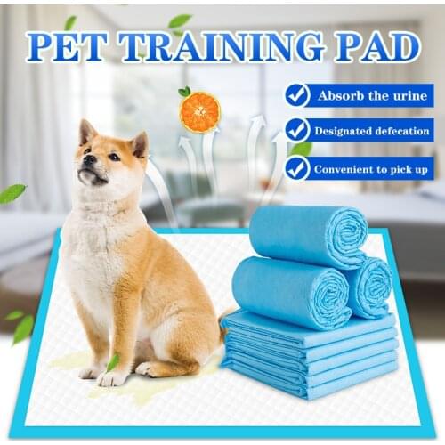 Pets Nappy Mat Dog Training Pee Pads Super Absorbent Pet Diaper Disposable Healthy Clean Nappy Mat for Pets