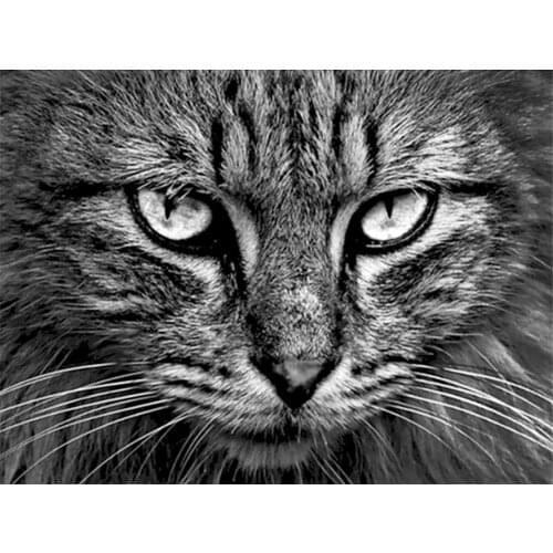 Big Face Cat Diamond Painting Animal Round Full Drill DIY Needlework Mosaic Embroidery 5D Cross Stitch Black and White Picture