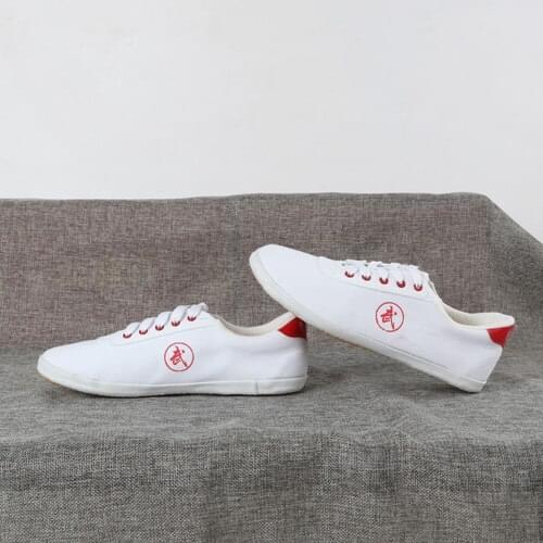 Kids&Adult martial arts shoes wushu performance shoes tai chi taijiquan kung fu sneakers blue/white high quality