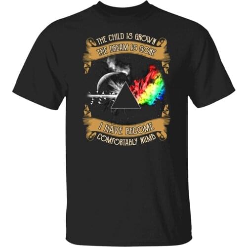 The Child is Grown The Dream is Gone I Have Become Comfortably Numb TShirt XL Unisex TShirtBlack