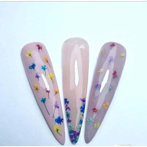 Nail Dried Flower 3D Nail Art Decorations UV Gel Polish Natural Floral Sticker Slider Set Beauty Nails Art Accessories
