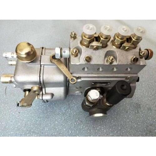 Fast shipping 4I195A 41195A 4I195A-80 41195A-80 Right injection Pump diesel engine 495A WATER cooled engine suit Chinese engine