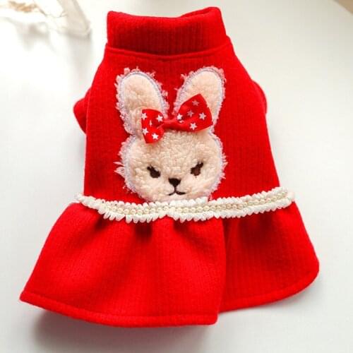 Cute Dog Dress Winter Pet Outfits Puppy Costume Apparel Yorkshire Pomeranian Dog Clothing Poodle Bichon Schnauzer Clothes Skirt