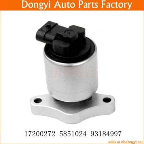 EGR Valve OE NO. 17200272 5851024 93184997