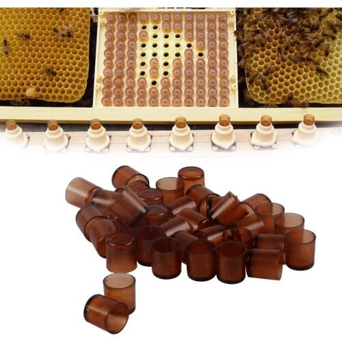 110 PCS|Beekeeping Bee Queen Cells Nicot Larva Rearing System Honeybee Equipment Apiculture Tools Beehive For Beekeeper