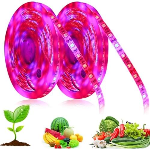 LED Grow light Strip 60LED/m Waterproof IP65 5V USB Red Blue 5050 Flower Phyto Growth lamp For Indoor Hydroponic Plant Growing