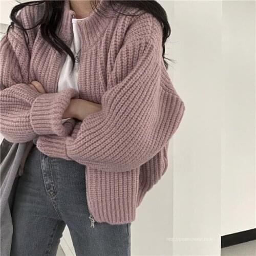 Student Girl Korean Style Chic Retro Sweet Western Style Age Reduction Loose Casual All-Match Zipper Sweater Sweater Coat
