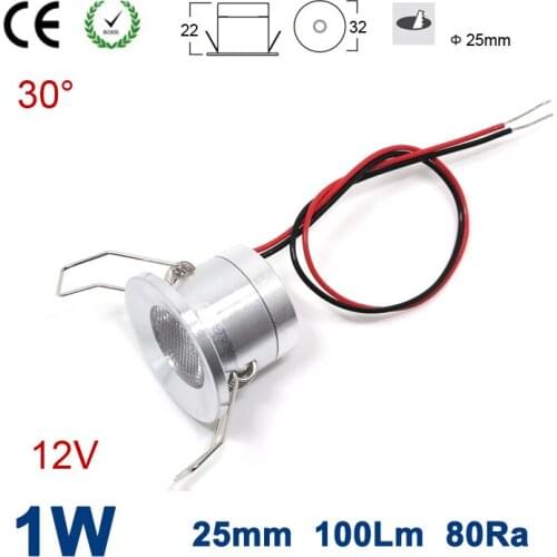 24pcs 1W 100Lm 12V 80Ra Hole size 25mm 30 Degree Mini Led Spotlight for Garden Outdoor Party Lighting CE RoHS