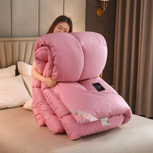 Cotton Comforter Keep Warm The Quilt Core White Velvet Thickening Warm Winter Quilt Best Gift queen quilt