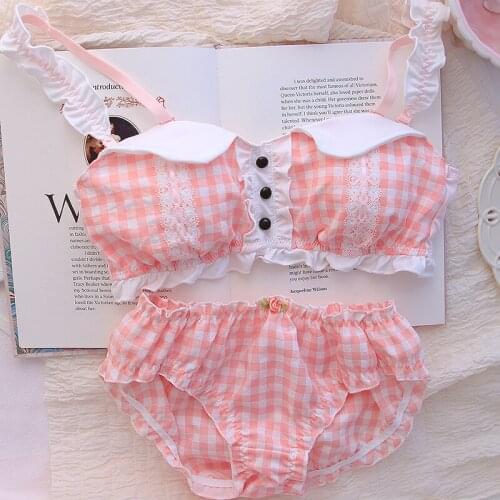 Embroidery Lingerie Set Ultrathin Underwear Set Sexy Lace Bra New Plus Size Bra Set Push Up Bras and Panty Set