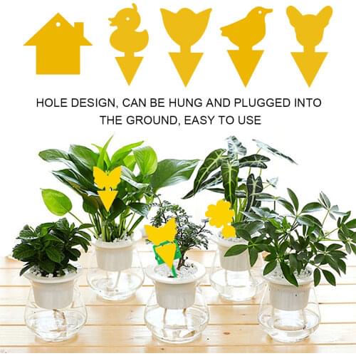 Ловушки для насекомых NianLenss China At AliExpress