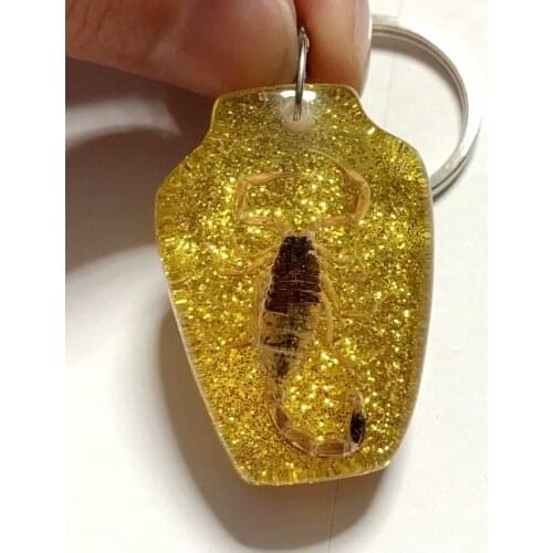 FREE SHIPPING Discount Sale Creative 50 pcs Scorpion Taxidermy Vase N 3 Style Jewelry Keychain