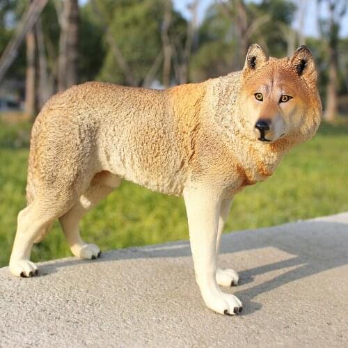 New real life wolf model plastic brown wolf doll gift about 20x6x13cm xf2785
