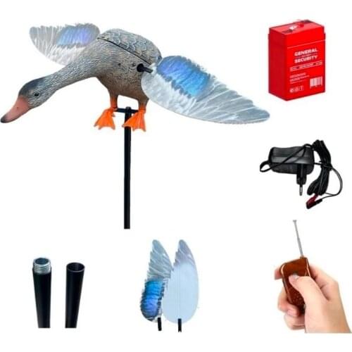 Last Flight Goods For Sports And Recreation