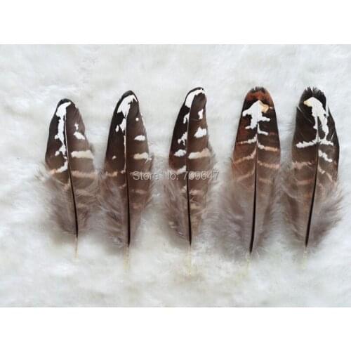 100Pcs/Lot 8-10cm Nature Brown&White Reeves Venery Pheasant Wing Feathers,Loose Small Quill Feathers For Jewelry Making