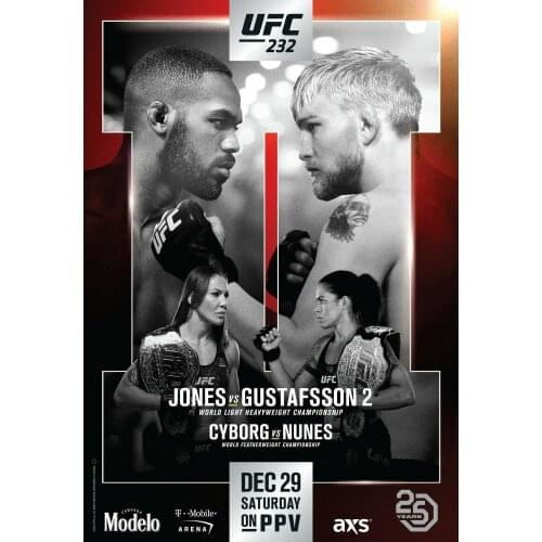232 Fight - Jones v Gustafsson 2, Cyborg v Nunes Art Film Print Silk Poster Home Wall Decor 24x36inch