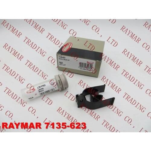 Genuine Diesel Fuel injector nozzle and valve kit 7135-623 for EJBR05501D, 33800-4X450, 33801-4X450