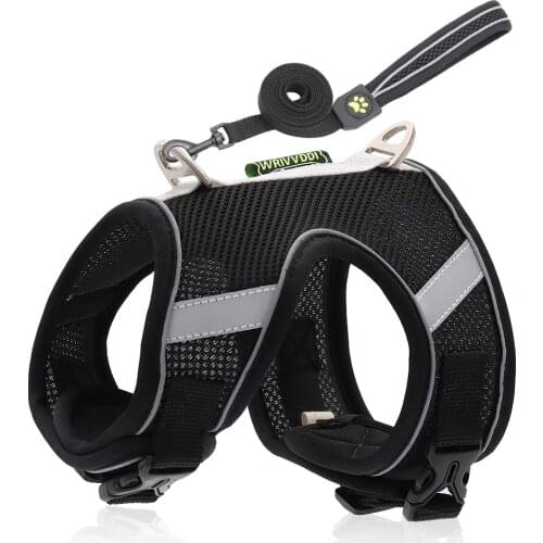 XS-L Small Middle Cats Dog Harness matching Leash Night Reflective Strip Pet Cat Harness Dogs Safety Buckle Red Blue Harness