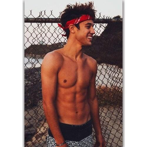 Hot New Cameron Dallas Rap Music Singer-Silk Art Poster Wall Sicker Decoration Gift