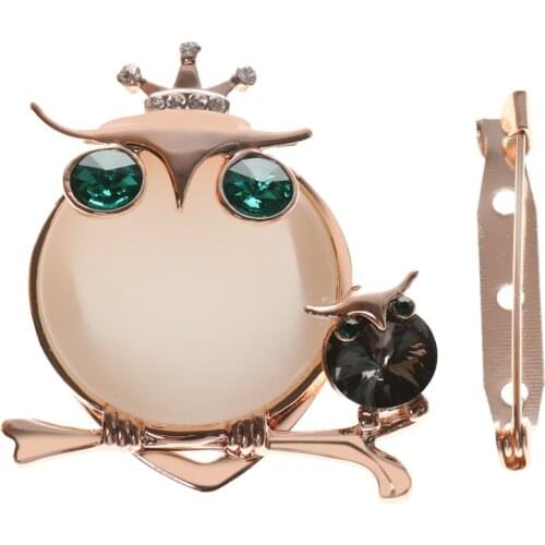 Fashion Crystal Crown Owl Brooch Pin Scarf Buckle Charms Women Jewelry